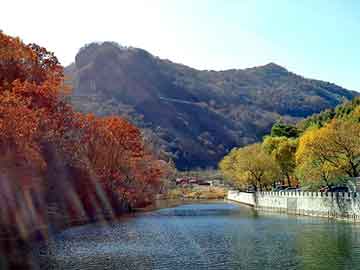 新澳天天开奖资料大全旅游团，黑彝痔神